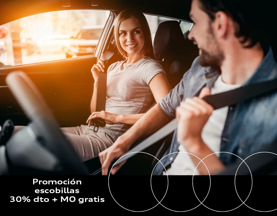 Seguridad ante los imprevistos.
Las escobillas del limpiaparabrisas de tu Audi son un importante elemento de seguridad, ya que evitan que ningún elemento (ya sea agua, barro, polvo…) entorpezca tu visibilidad al volante.